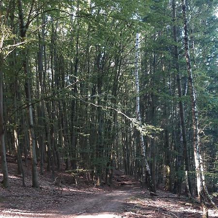 Appartement An Der Bicke Dehringhausen Zewnętrze zdjęcie