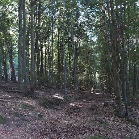 Appartement An Der Bicke Dehringhausen Zewnętrze zdjęcie
