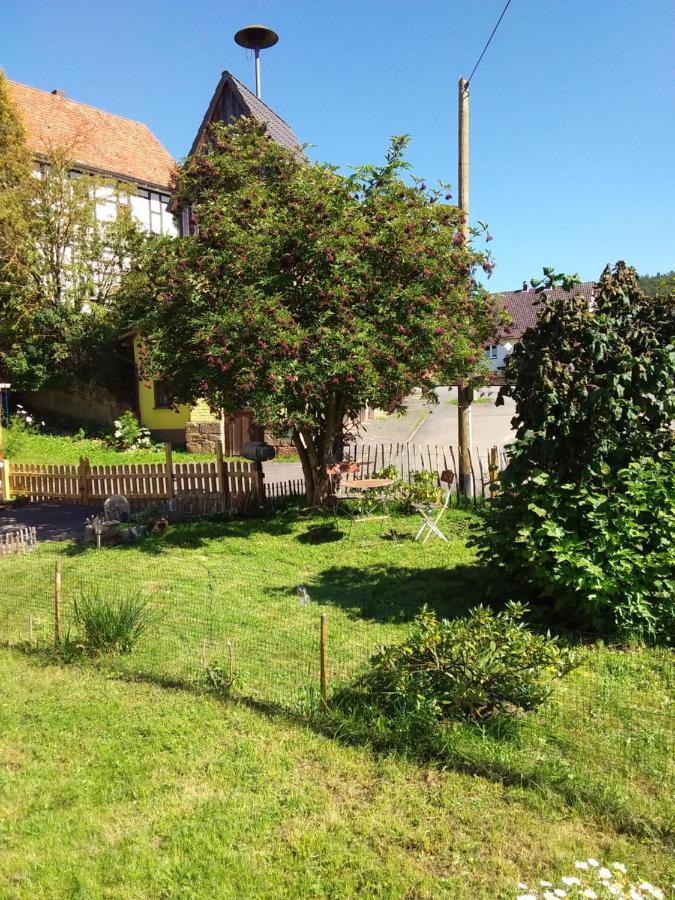 Appartement An Der Bicke Dehringhausen Zewnętrze zdjęcie