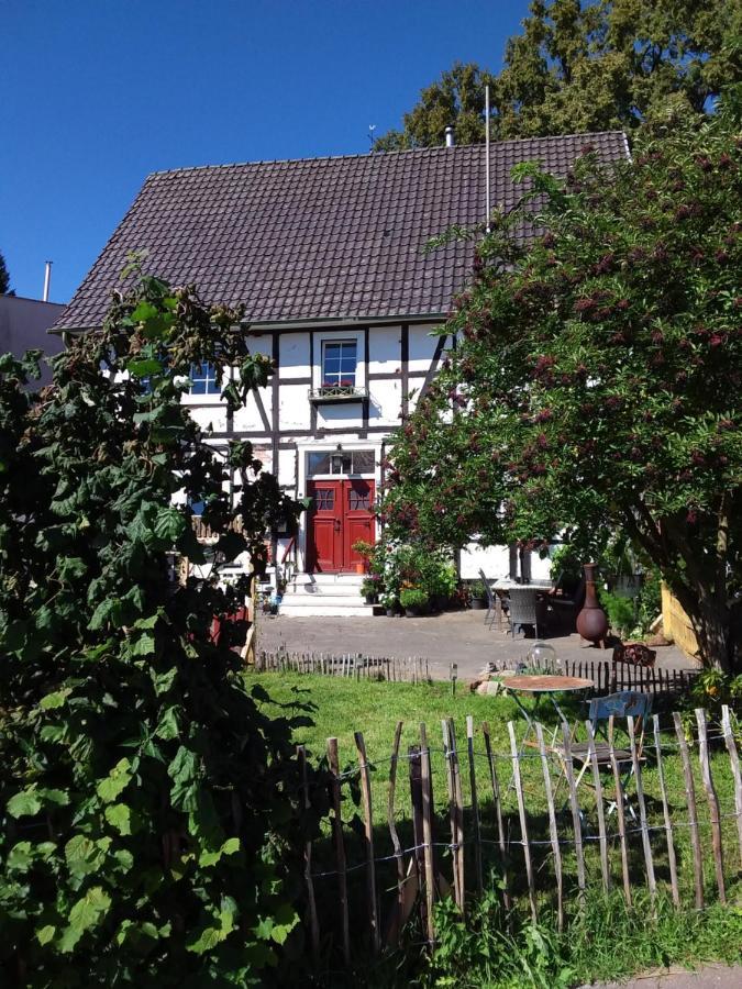Appartement An Der Bicke Dehringhausen Zewnętrze zdjęcie
