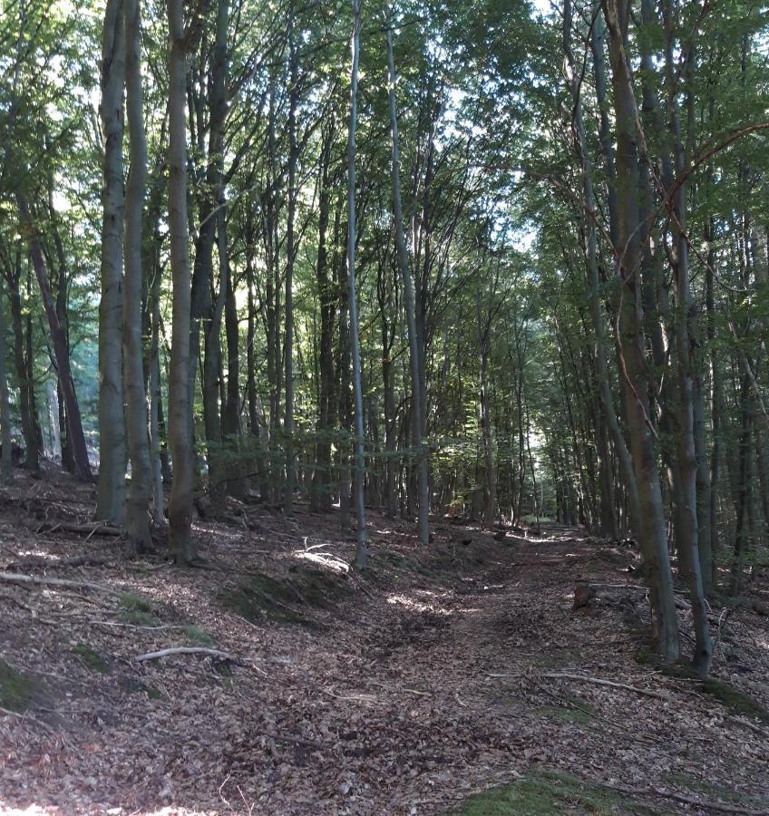 Appartement An Der Bicke Dehringhausen Zewnętrze zdjęcie